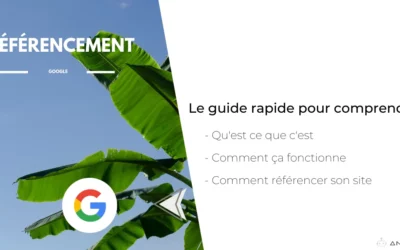 Comment fonctionne le référencement Google ?