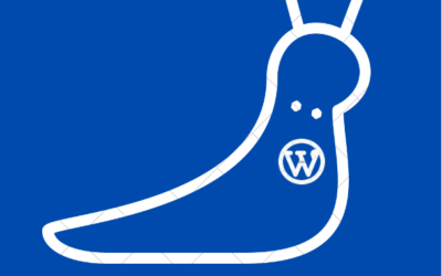 Qu’est-ce qu’un slug wordpress ?